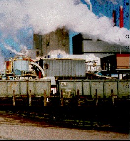 smurfit 2