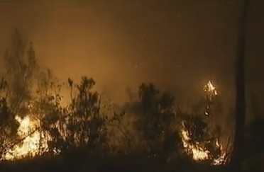 Incendie à Lacanau : 650 Ha de forêt partis en fumée à cause d&rsquo;un mégot …