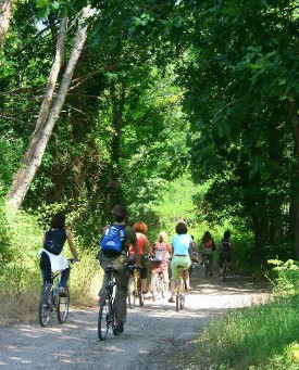 Le Parc régional à vélo jusqu&rsquo;au Delta de la Leyre…Une belle balade avec des surprises ce dimanche 16 sept