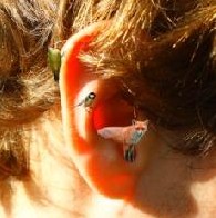Ateliers sensoriels  « Les oreilles grandes ouvertes » , le 28/12 à Lège.