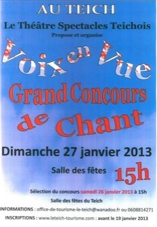 Concours de chant « Voix en vue » au Teich, le 27 janvier. Chiche?