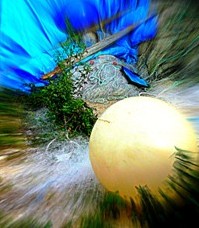 Expo Photos « Cap au coeur » à Petit Piquey, jusqu&rsquo;au 6/02