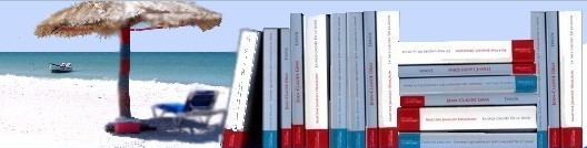 Salons du Livre : Serez-vous « Plage aux écrivains » (Arcachon) ou « Pages du Bassin » (Arès) ?
