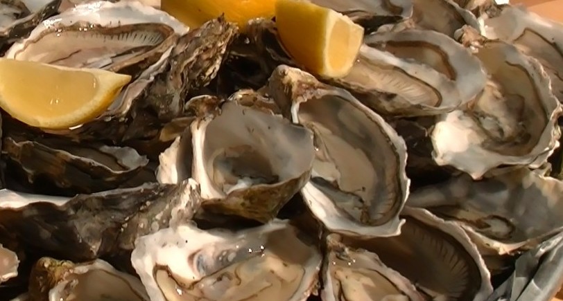 L&rsquo;interdiction de consommation des huitres et coquillages étendue à tout le Bassin. Sale temps pour la filière …