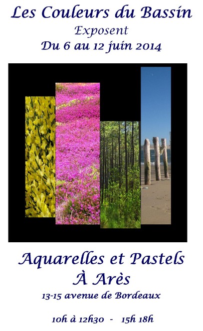 Les sorties, ce vendredi 6/06, tout autour du Bassin …
