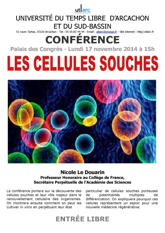 Les sorties du lundi 17/11 : Conférence UTLARC, Italie, ciné humoristique, sports, etc …