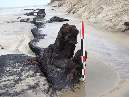 Les sorties du mer 19/11 : Conférences sur l&rsquo;archéologie, Napoléon, Compostelle …