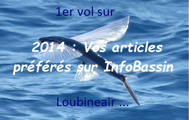 Le Best of 2014 : Survol d&rsquo;une année parmi vos articles préférés sur IB …