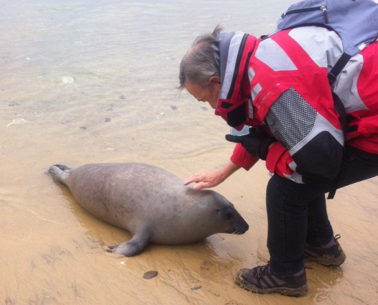 Un moment d&rsquo;affection non calculée : Le Phoque You joue sur le Bassin !