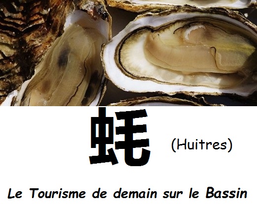 L&rsquo;Esprit Bassin va envouter le touriste (pour qu&rsquo;il revienne …)
