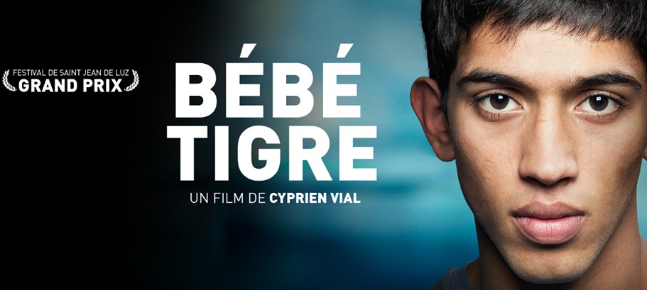 Ciné : Spécial Festival(s) de films sur le Bassin  …