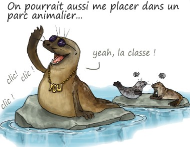 Le phoque You : Son destin dépend (aussi) de notre retenue …