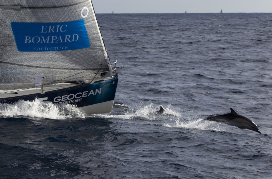 Des news de l&rsquo;Hermione, de l&rsquo;Arawak et de la Course en Solitaire …