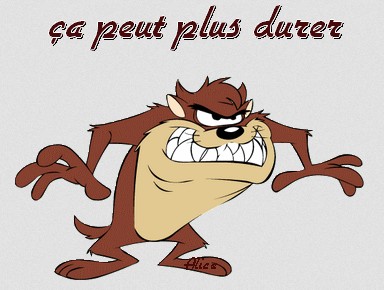 Les jeunes du Bassin ont la parole : Au secours, mes parents louent notre maison …