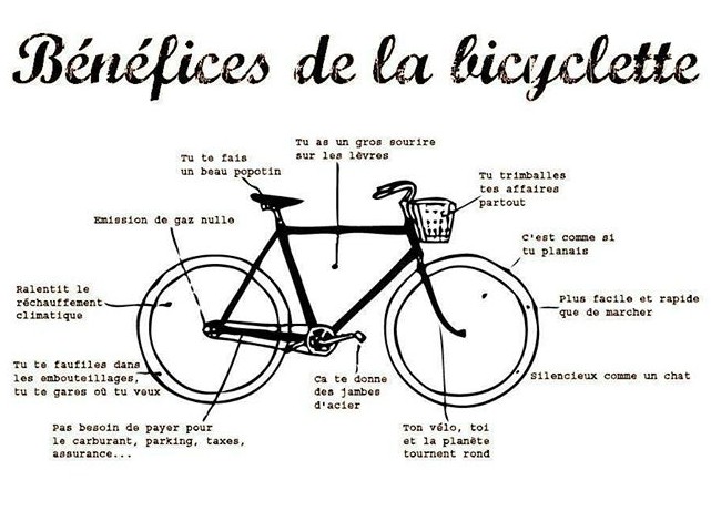 Le tour du Bassin à vélo : Piste cyclable ou vélodrome ? De quoi perdre les pédales …