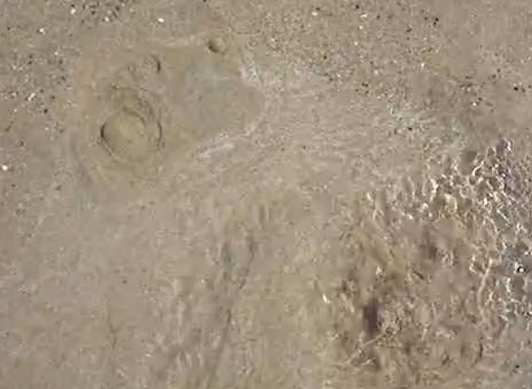 Eaux du Bassin : Les résurgences visibles et invisibles