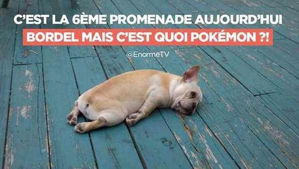 Pokemania : Jusqu&rsquo;où ?