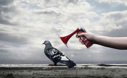 Faut-il vraiment manger dans le bruit ?