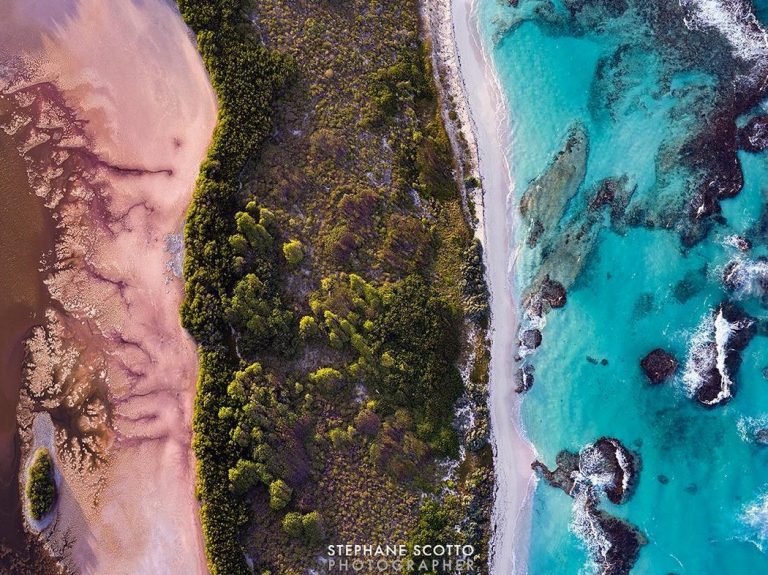 Scotto, un regard aiguisé sur les Antilles et le Bassin