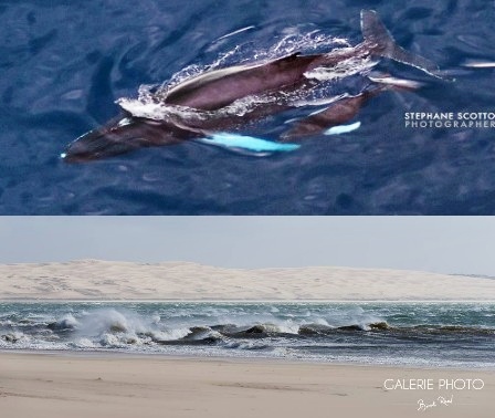 De belles photos … par des pros.