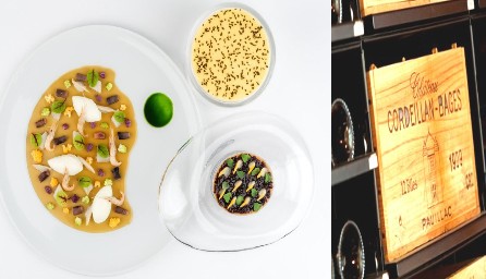 Gastronomie – vin : Visite du Château Cordeillan-Bages