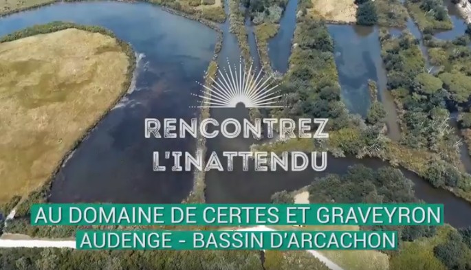 Du 7 au 17/10, Certes fait son show grandeur nature…