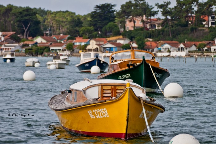 Le Bassin, entre traditions et modernité …