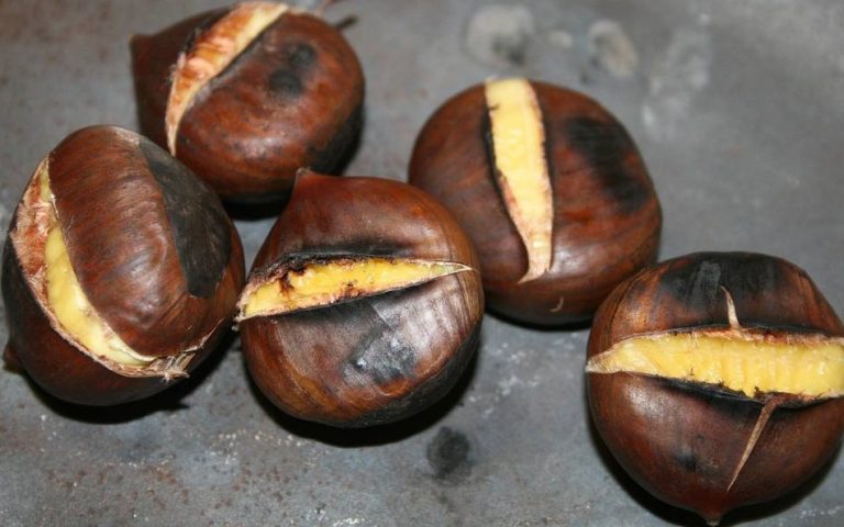 Cuisine : Avec le Bourru, vous allez prendre des châtaignes…