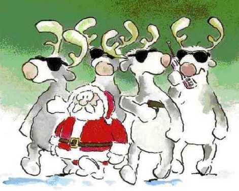 C&rsquo;est Noël ! Idées sorties sur le Bassin d&rsquo;Arcachon jusqu&rsquo;au 24/12