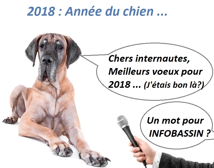 Bonne année 2018 sur le Bassin d&rsquo;Arcachon,   » 新年好  » !