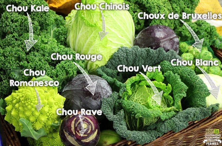 Recette post-fêtes : Velouté de choux variés, façon Lyselotte