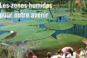 Idées sorties sur le Bassin d&rsquo;Arcachon jusqu&rsquo;au 7/02/18