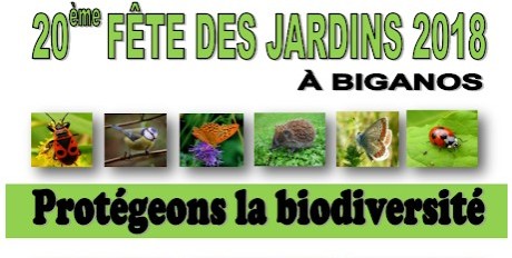 Idées sorties sur le Bassin d&rsquo;Arcachon jusqu&rsquo;au 15/05/18