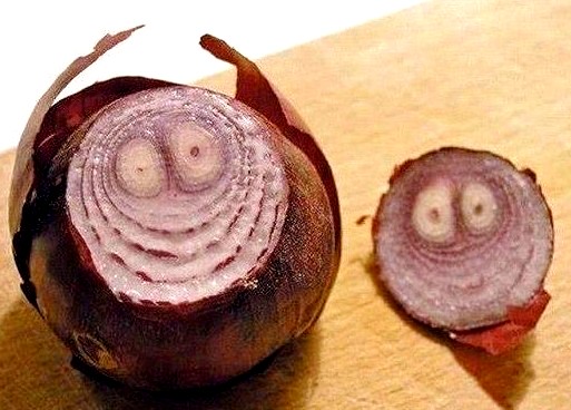 Cuisine : L&rsquo;oignon (c&rsquo;est tout bon!)