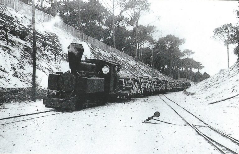 Le Bassin jadis : Le petit train des dunes (1/2)