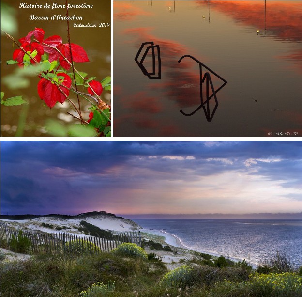 Les photographes du Bassin nous offrent du rêve…