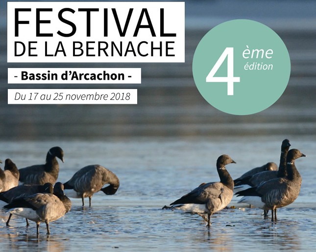 Festival de l&rsquo;oie Bernache : Shootez la… en photo !