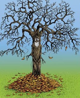 Bien-être : Se booster en automne…