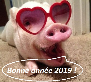 2019 : Cochon qui sans dés, dit… Bonne année !