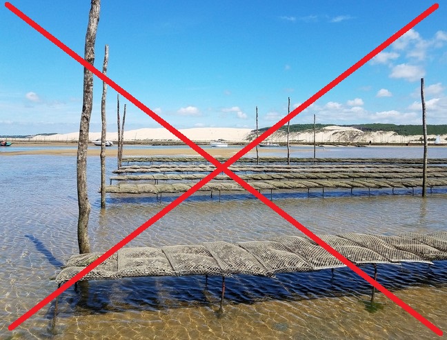 Attention : Peche et consommation des huitres du Bassin d&rsquo;Arcachon interdites, sauf celles en circuit fermé