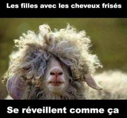 Bien-être : A la plage, sale temps pour vos cheveux (par Ludivine) …