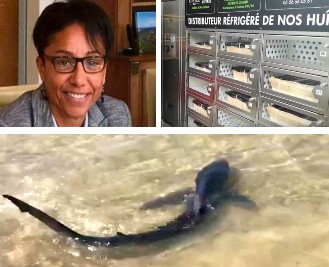 Edito : La Revue de tresses de la semaine du 25/08/19