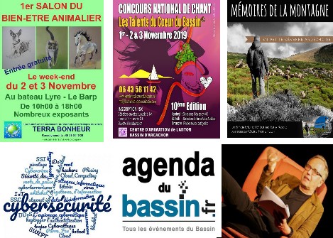 Agenda : Des idées sorties sur le Bassin d&rsquo;Arcachon jusqu’au 7/11