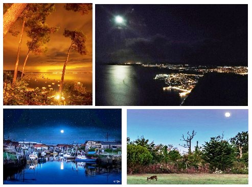 Le Bassin, la nuit, c&rsquo;est encore plus beau !
