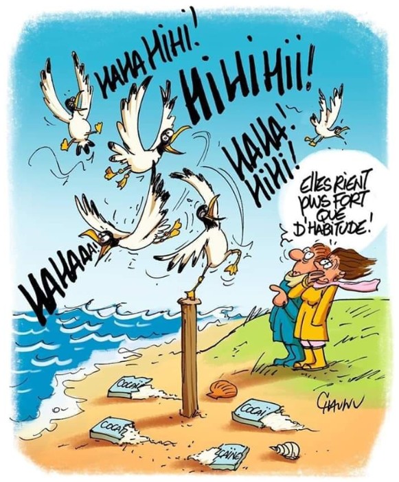 Exclusif ! « Cocaïne sur les plages : on sait tout », par Oncle François
