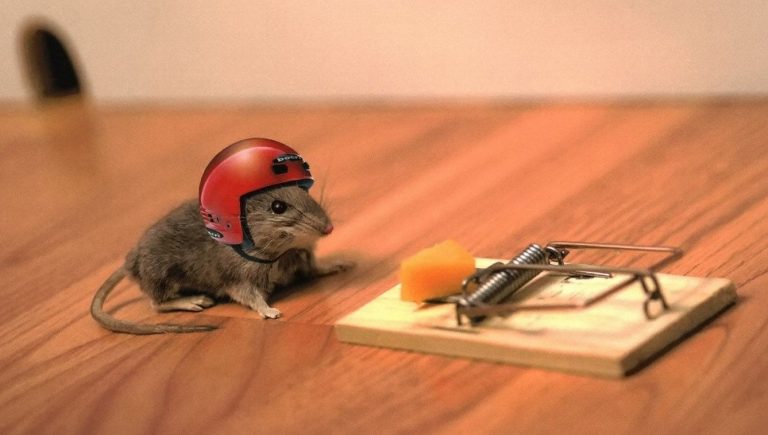 2020 : Année du Rat…tendu(e). Meilleurs Voeux !