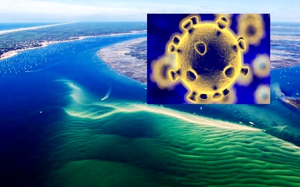 Le Bassin face au Coronavirus…