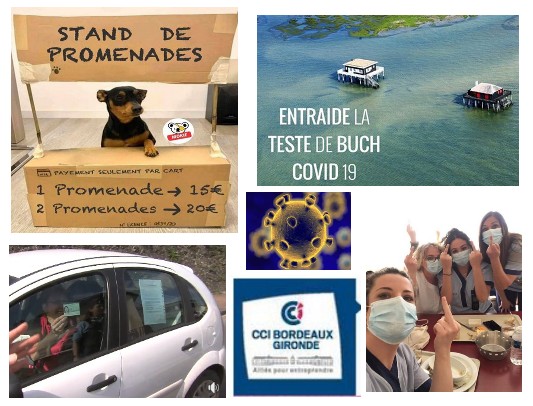 Edito : Coronavirus à J+5. Journal de campagne sur le Bassin…