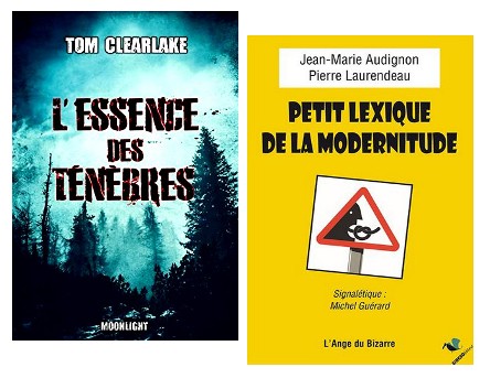 S&rsquo;évader avec un livre, hors du confinement sur le Bassin d&rsquo;Arcachon…