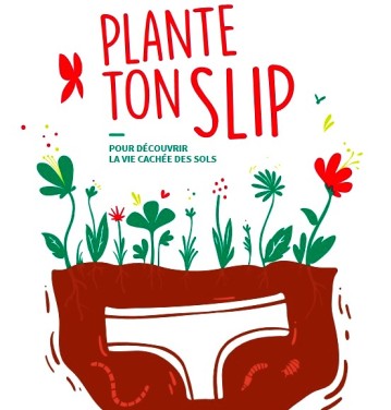 Confinement  : Plante ton slip (saine occupation)…